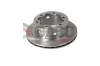 Bremsscheibe Hinterachse DACO Germany 603344