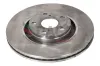 Bremsscheibe Vorderachse DACO Germany 603936