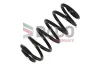 Fahrwerksfeder Vorderachse DACO Germany 800230 Bild Fahrwerksfeder Vorderachse DACO Germany 800230