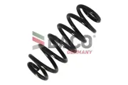 Fahrwerksfeder Vorderachse DACO Germany 800241