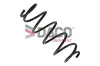 Fahrwerksfeder Vorderachse DACO Germany 800600