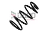 Fahrwerksfeder Vorderachse DACO Germany 801019 Bild Fahrwerksfeder Vorderachse DACO Germany 801019