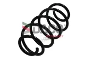 Fahrwerksfeder Vorderachse DACO Germany 801041