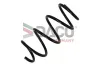 Fahrwerksfeder Vorderachse DACO Germany 801707 Bild Fahrwerksfeder Vorderachse DACO Germany 801707