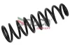 Fahrwerksfeder Vorderachse DACO Germany 802200