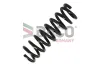 Fahrwerksfeder Vorderachse DACO Germany 802620 Bild Fahrwerksfeder Vorderachse DACO Germany 802620