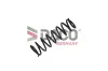 Fahrwerksfeder Vorderachse DACO Germany 802724