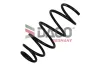 Fahrwerksfeder Vorderachse DACO Germany 802729