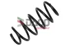 Fahrwerksfeder Vorderachse DACO Germany 802733
