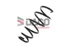 Fahrwerksfeder Vorderachse DACO Germany 802741