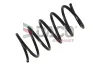 Fahrwerksfeder Vorderachse DACO Germany 803006 Bild Fahrwerksfeder Vorderachse DACO Germany 803006