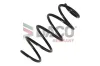 Fahrwerksfeder Vorderachse DACO Germany 803302 Bild Fahrwerksfeder Vorderachse DACO Germany 803302