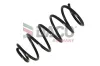 Fahrwerksfeder Vorderachse DACO Germany 803310 Bild Fahrwerksfeder Vorderachse DACO Germany 803310