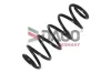 Fahrwerksfeder Vorderachse DACO Germany 803409