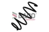 Fahrwerksfeder Vorderachse DACO Germany 804222