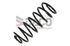 Fahrwerksfeder Vorderachse DACO Germany 804707 Bild Fahrwerksfeder Vorderachse DACO Germany 804707