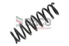 Fahrwerksfeder Hinterachse DACO Germany 810102