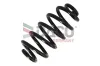 Fahrwerksfeder Hinterachse DACO Germany 810231