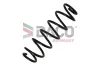 Fahrwerksfeder Hinterachse DACO Germany 810611