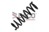 Fahrwerksfeder Hinterachse DACO Germany 810614