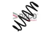 Fahrwerksfeder Hinterachse DACO Germany 810900