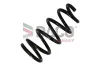 Fahrwerksfeder Hinterachse DACO Germany 811202 Bild Fahrwerksfeder Hinterachse DACO Germany 811202