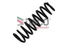 Fahrwerksfeder Hinterachse DACO Germany 811707
