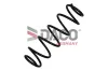 Fahrwerksfeder Hinterachse DACO Germany 812300