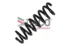 Fahrwerksfeder Hinterachse DACO Germany 812311