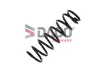 Fahrwerksfeder Hinterachse DACO Germany 812504