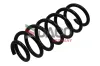 Fahrwerksfeder Hinterachse DACO Germany 812610