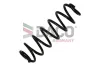 Fahrwerksfeder Hinterachse DACO Germany 812803