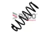 Fahrwerksfeder Hinterachse DACO Germany 812815