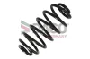 Fahrwerksfeder Hinterachse DACO Germany 813608