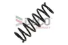 Fahrwerksfeder Hinterachse DACO Germany 813612 Bild Fahrwerksfeder Hinterachse DACO Germany 813612