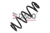 Fahrwerksfeder Hinterachse DACO Germany 813702