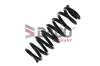 Fahrwerksfeder Hinterachse DACO Germany 813703