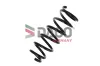 Fahrwerksfeder Hinterachse DACO Germany 813909