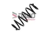 Fahrwerksfeder Hinterachse DACO Germany 813920