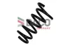 Fahrwerksfeder Hinterachse DACO Germany 814108