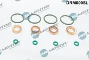 Dichtungssatz, Einspritzdüse Dr.Motor Automotive DRM009SL