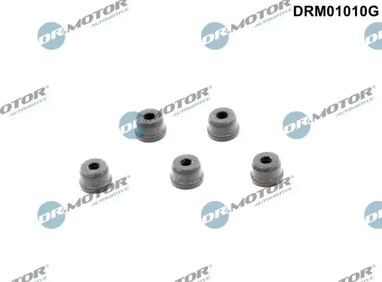 Reparatursatz, Kupplungsgeberzylinder Dr.Motor Automotive DRM01010G Bild Reparatursatz, Kupplungsgeberzylinder Dr.Motor Automotive DRM01010G