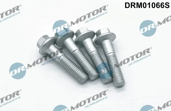 Schraube, Einspritzdüsenhalter Dr.Motor Automotive DRM01066S