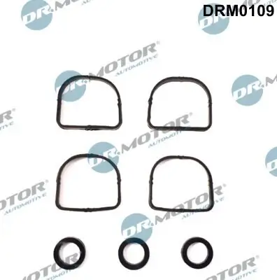 Dichtungssatz, Ansaugkrümmer Dr.Motor Automotive DRM0109