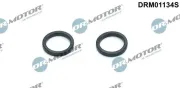 Dichtungssatz, Ölkühler Dr.Motor Automotive DRM01134S