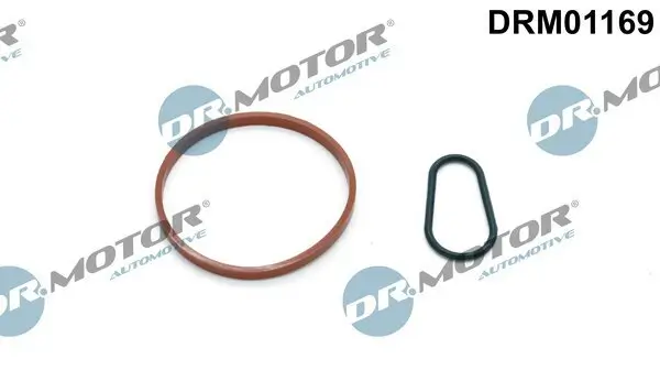 Dichtungssatz, Unterdruckpumpe Dr.Motor Automotive DRM01169