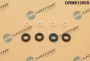 Dichtungssatz, Einspritzdüse Dr.Motor Automotive DRM01209S