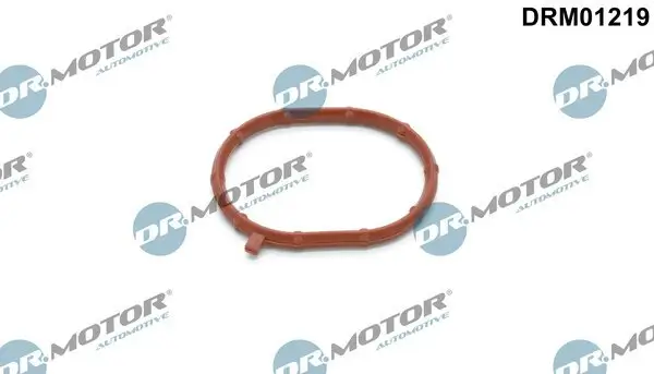 Dichtring, Lader Dr.Motor Automotive DRM01219