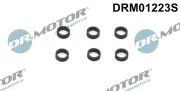 Dichtring, Düsenhalter Dr.Motor Automotive DRM01223S