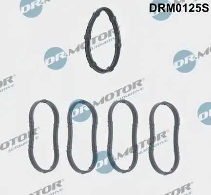 Dichtungssatz, Ansaugkrümmer Dr.Motor Automotive DRM0125S